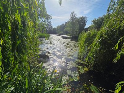 Picture 28